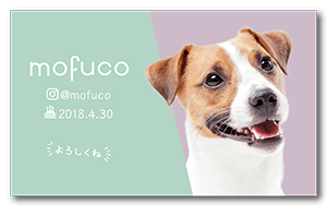 2色背景のシンプルな犬のペット名刺