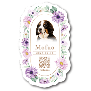 モノクロ写真とアクセントカラーの長方形ペット名刺