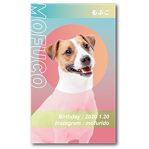 グラデーションフレームの長方形ペット名刺