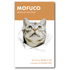 ペーパーホールデザインの長方形ペット名刺