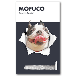 ペーパーホールデザインの長方形ペット名刺