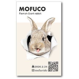 ペーパーホールデザインの長方形ペット名刺