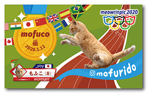 オリンピックデザインの猫のペット名刺