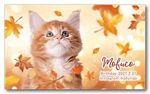 秋のキラキラ紅葉デザインの猫の長方形ペット名刺