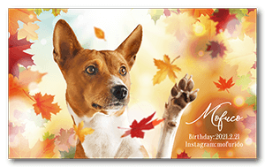 秋のキラキラ紅葉デザインの犬の長方形ペット名刺