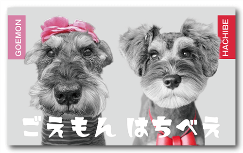 ペット名刺の制作実例 犬 多頭飼い の両面ペット名刺w Rec0048
