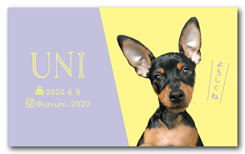 犬のペット名刺画像