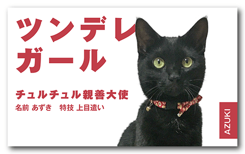 猫の長方形ペット名刺画像