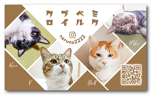 猫（多頭飼い）の長方形ペット名刺画像