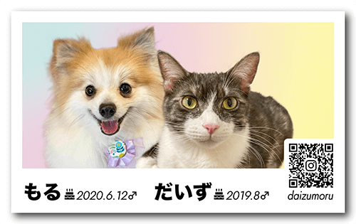 犬と猫の長方形名刺画像