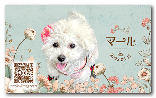 犬の長方形ペット名刺画像