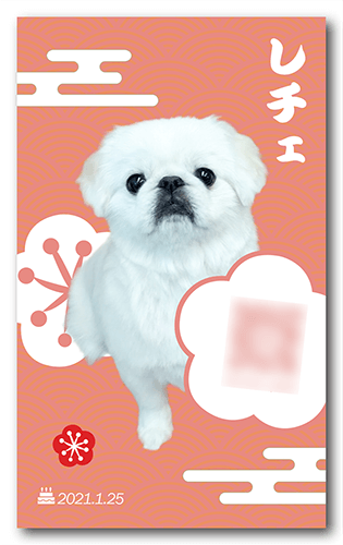 犬の長方形ペット名刺画像