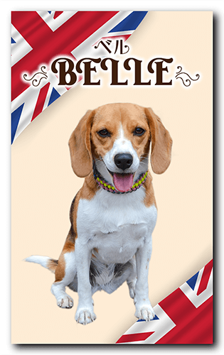 長方形ペット名刺の表面画像