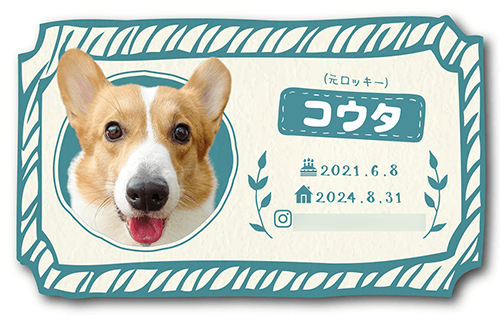 型抜きペット名刺の表面画像