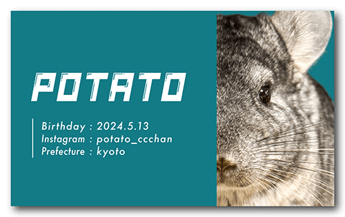 ペット名刺の表面画像