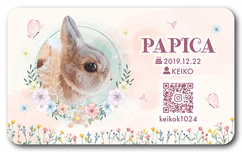 ペット名刺画像