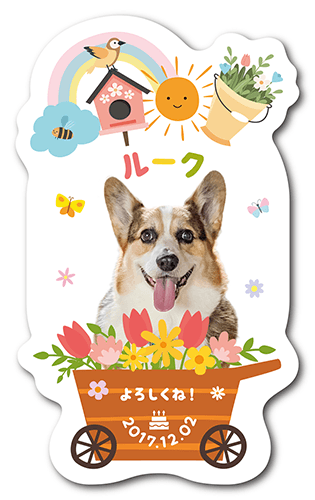 型抜きペット名刺の表面画像