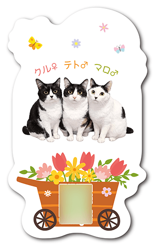 型抜きペット名刺の裏面画像