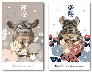 チンチラのペット名刺